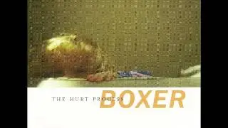 Boxer One For Milwaukee