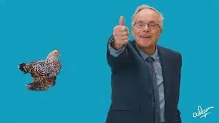 Love the System - Nice Life