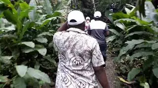 Fiji garden of the sleeping giant,  2019