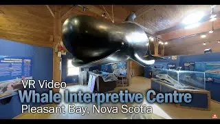 Pleasant Bay Whale Interpretive Centre VR Video
