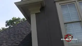 Rat Chew Hole in a House in Rydal, Georgia