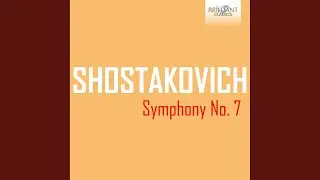 Symphony No. 7 in C Major, Op. 60: III. My native field, adagio (3)