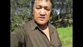 MOAI POWER HOUSE GROUP CONFEDERATION OF CHIEFS TAITIAN