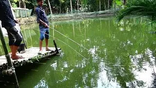 Best Live Fishing Video (Part-119)