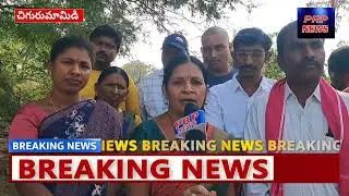చిగురుమామిడి మండల కేంద్రంలో కోతులను పట్టించిన సర్పంచ్ ఆకవరం భవాని శివప్రసాద్...PRP NEWS