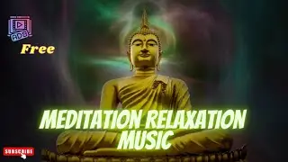 [No Ads] Guided Meditation Relaxation Music 30 Minutes Morning | Relax Plugin