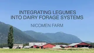 Integrating Legumes Into Dairy Forage Systems - Nicomen Farm