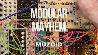 Modular synth mayhem with Muzoid