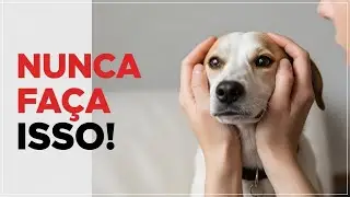 7 coisas que magoam emocionalmente o seu cão (99% dos donos de cães fazem isso sem saber