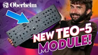 Модуль OBERHEIM TEO-5 может оказаться всем, что вам нужно!