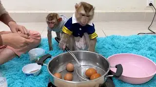 Hi Everyone ! Who Want Taste Boiled Eggs Of Master Chefs DouDou