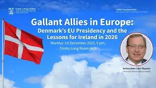 Gallant Allies in Europe: Denmark&rsquo;s EU Presidency and the Lessons for Ireland in 2026