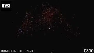 RUMBLE IN THE JUNGLE &pound;390