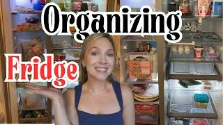 Organizing My Fridge and Freezer