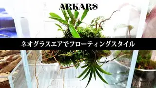 ARKARS_055「ネオグラスエアでフローティングスタイル」