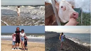 УЕХАЛИ ИЗ ДЕРЕВНИ НА МОРЕ!!! 🌊🤱🐄🐖