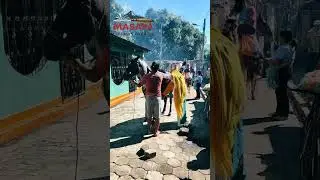 Masaya vive la magia de los Reyes Magos ✨