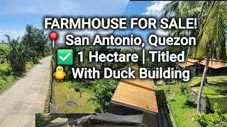 FARMHOUSE for sale/san antonio quezon/titled/1hectare 