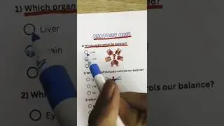 Anatomy Quiz