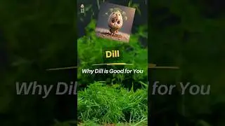 Dill Benefits | Health Benefits of Dill Leaves | Benefits of Dill | Dill Health Benefits