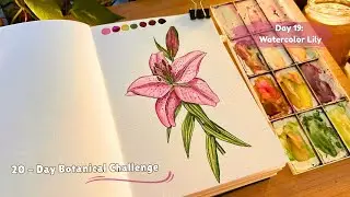 How to Paint a Lily in Watercolor 🌸 | Calm Real-Time Botanical Art | White Nights Watercolor ✨