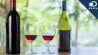 Does Expensive Wine Really Taste Better?