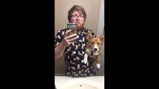 Falcrest road to 100 stream comp.