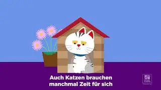 Stressmanagement bei Katzen - 10 Tipps zum Stressabbau #hillspet