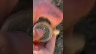 НАШЕЛ КУВШИН С МОНЕТАМИ В ПЕСЧАНОМ КАРЬЕРЕ! #находки #новости #клад
