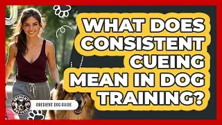 What Does Consistent Cueing Mean In Dog Training? - Obedient Dog Guide