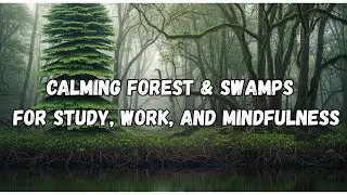 Calming Forest & Swamps for Study, Work, Healing and Mindfulness  