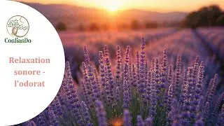 Relaxation sonore par les sens : l'odorat