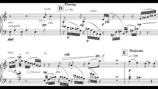 Graham Lynch - The Hanging-Cloud Bridge for Harp (1999) [Score-Video]
