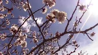 Starry's Short Somatic Meditation #1