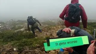 Hartz Mountain