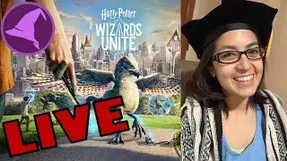 WIZARDS UNITE EVENING DESERT EXPLORATION!