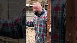#dogrescue Das Leben auf dem Asyl ist sehr hart. Die Hunde haben nichts, worauf