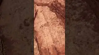 Dinosaur Tracks Site #2 - Coyote Buttes North, AZ - 9/30/25