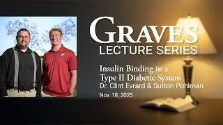 Insulin Binding in a Type II Diabetic System