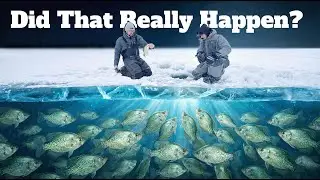 We Caught Our Crappie Limit FAST&hellip; Then This Happened!
