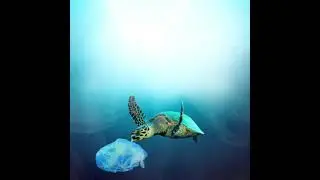 World ocean day 2021 | impact Online Store