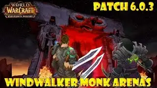 Monk 2v2 Arenas (WoW 6.0.3)