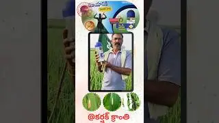 Sumitomo chemicals| meshi#shorts #ytshorts #farming #viralvideo #agriculture #sumitomo #meshi