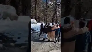 Winter is not just a season, it's a celebration | Mechuka | Arunachal Pradesh | India China Border