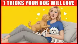 7 Proven Tricks to Make Your Dog Love You Even more