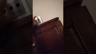 GameCube revisited (2022)