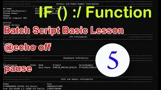 Batch Script if Function