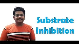 What is Substrate Inhibition | Notes in description