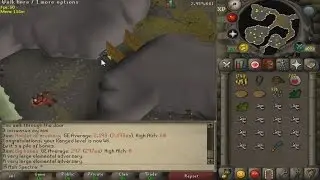 OSRS Ironman progress Episode 4: Nature runes,imps and Rune scimmy