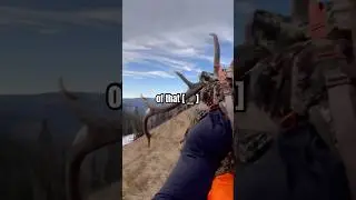 NOT FOR THE FAINT OF HEART #elk #hunting #colorado #meateater #huntinseason #bowhunter #deerhunting